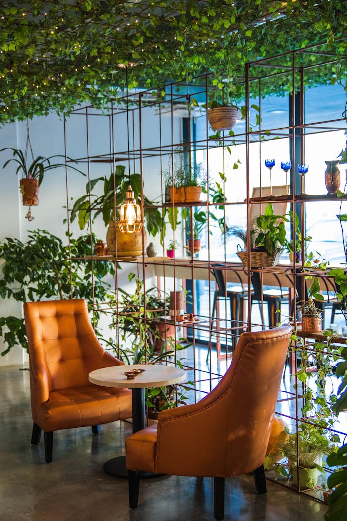 heros-img Inviting café corner with lush plants and cozy seating, perfect for relaxation.